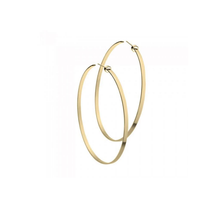 Load image into Gallery viewer, JENNIFER 3' HOOPS
