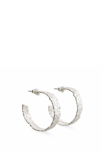 Load image into Gallery viewer, PLATED HOOPS

