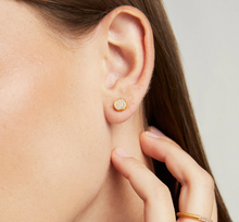 Load image into Gallery viewer, SIGNATURE PAVE KNOCKOUT STUDS
