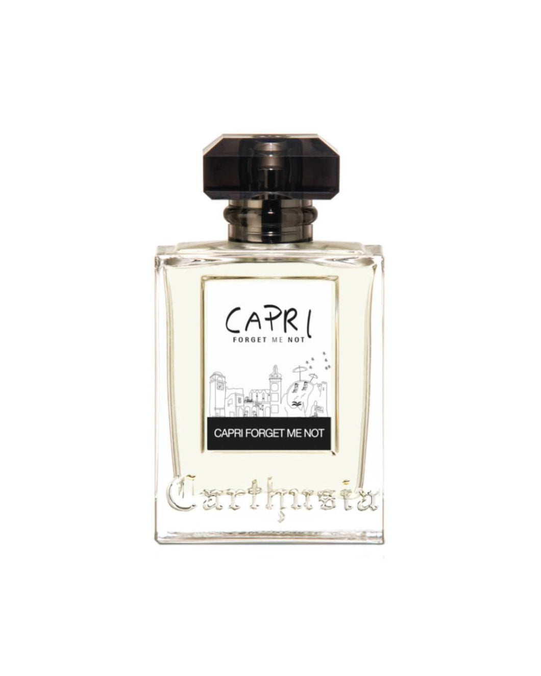 CAPRI FORGET ME NOT (Small)